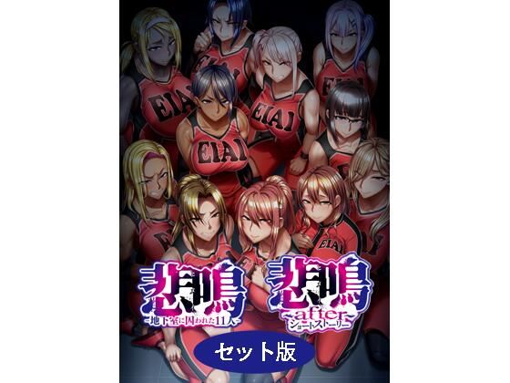 悲鳴 〜after〜 ショートストーリー セット版